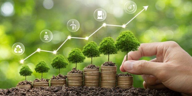 ESG Investing: Aligning Your Portfolio with Your Values in the American Market
